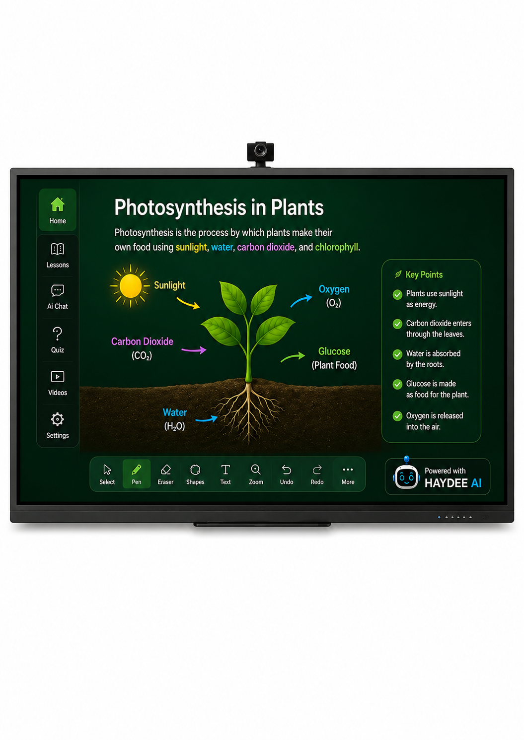 HAYDEE AI Interactive Board