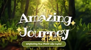 The Amazing Journey of Plants – Exploring the Plant Life Cycle! | AR Jigsaw Puzzle