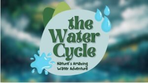 The Water Cycle – Nature's Amazing Water Adventure | AR Jigsaw Puzzle