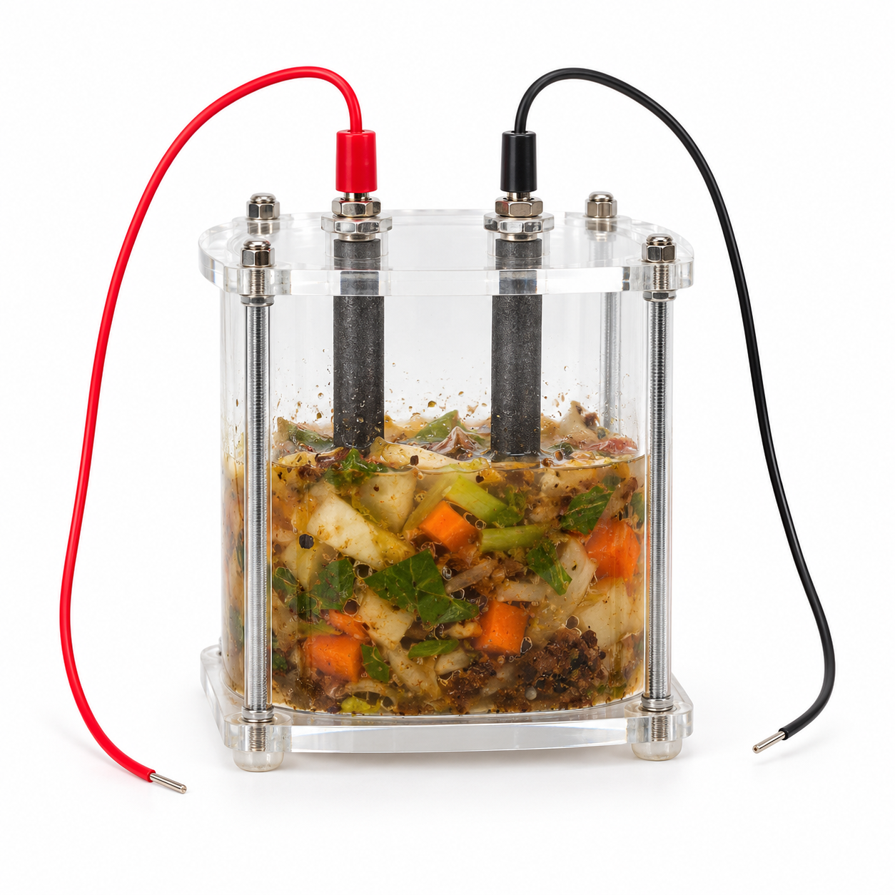 Electricity from Kitchen Waste